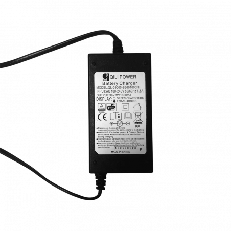 Cargador d'Anciens Modèles de Skateboards eléctricos Evo-Spirit