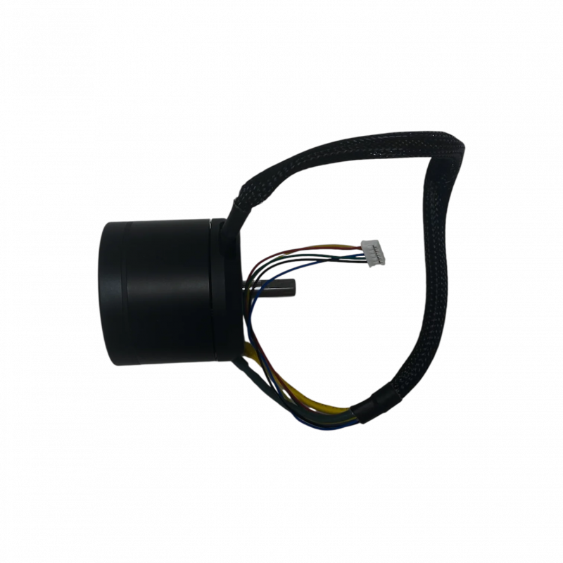 Moteur 1800W pour Xplorer V1 - Skateboard Électrique Evo-Spirit